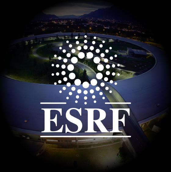 ESRF Case Study Logo