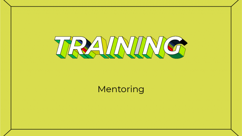 Mentoring in training