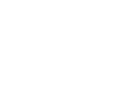 University of Essex